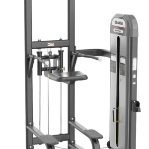 Dip Chin Assist IRFB13