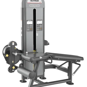 Prone Leg Curl IRFB28