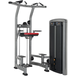 Insignia Series Assist Dip Chin