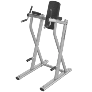 Life Fitness Dip/Leg Raise