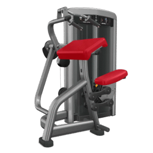 Insignia Series Triceps Extension